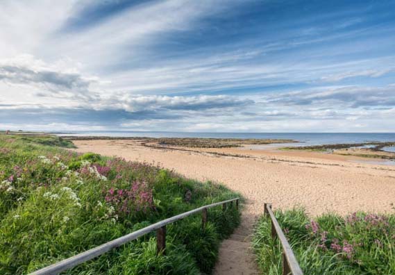 Kingsbarn Beach